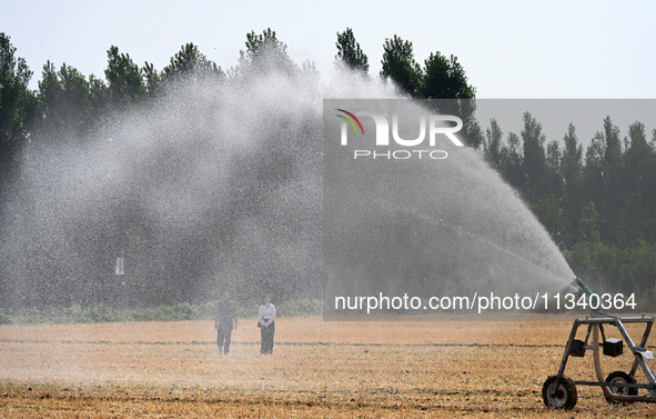 A farmer is using a roll-type sprinkler to water corn seedlings in Daying village, Handan city, North China's Hebei province, on June 18, 20...