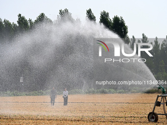 A farmer is using a roll-type sprinkler to water corn seedlings in Daying village, Handan city, North China's Hebei province, on June 18, 20...