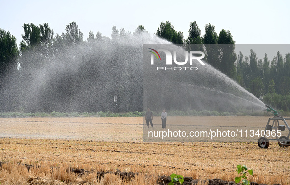 A farmer is using a roll-type sprinkler to water corn seedlings in Daying village, Handan city, North China's Hebei province, on June 18, 20...