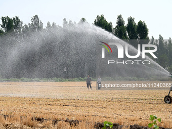 A farmer is using a roll-type sprinkler to water corn seedlings in Daying village, Handan city, North China's Hebei province, on June 18, 20...