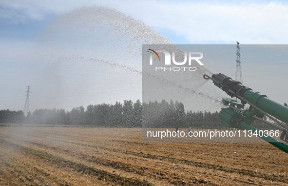 A farmer is using a roll-type sprinkler to water corn seedlings in Daying village, Handan city, North China's Hebei province, on June 18, 20...