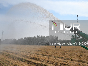 A farmer is using a roll-type sprinkler to water corn seedlings in Daying village, Handan city, North China's Hebei province, on June 18, 20...