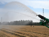 A farmer is using a roll-type sprinkler to water corn seedlings in Daying village, Handan city, North China's Hebei province, on June 18, 20...