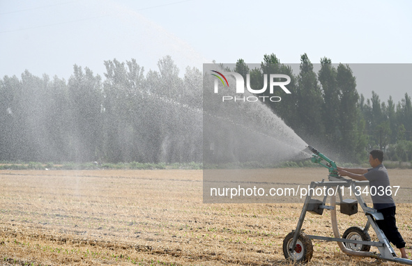 A farmer is using a roll-type sprinkler to water corn seedlings in Daying village, Handan city, North China's Hebei province, on June 18, 20...