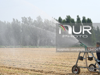 A farmer is using a roll-type sprinkler to water corn seedlings in Daying village, Handan city, North China's Hebei province, on June 18, 20...