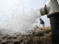 A farmer is irrigating his field in Daying village, Handan city, North China's Hebei province, in Handan, China, on June 18, 2024. (