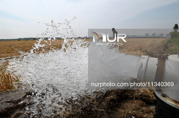 A farmer is irrigating his field in Daying village, Handan city, North China's Hebei province, in Handan, China, on June 18, 2024. 