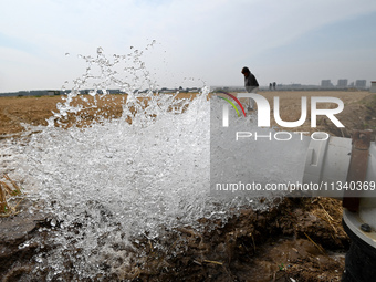 A farmer is irrigating his field in Daying village, Handan city, North China's Hebei province, in Handan, China, on June 18, 2024. (