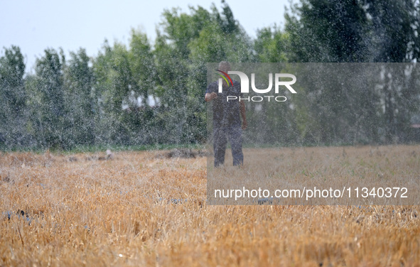 A farmer is using a ''micro-spray belt'' watering method to water a field in Daying village, Handan city, North China's Hebei province, on J...