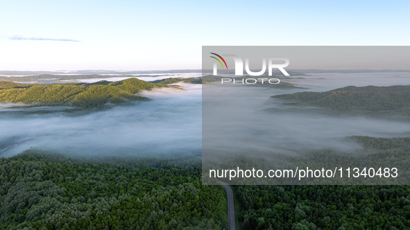 An aerial photo is showing the scenery of Wuying National Forest Park in Yichun, China, on June 18, 2024. 