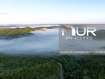 An aerial photo is showing the scenery of Wuying National Forest Park in Yichun, China, on June 18, 2024. (