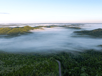 An aerial photo is showing the scenery of Wuying National Forest Park in Yichun, China, on June 18, 2024. (