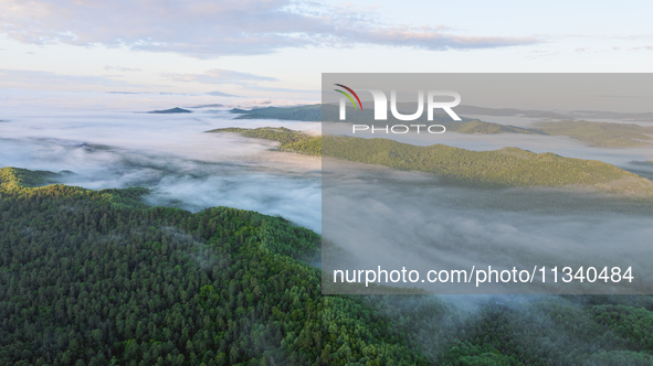 An aerial photo is showing the scenery of Wuying National Forest Park in Yichun, China, on June 18, 2024. 