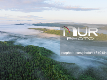 An aerial photo is showing the scenery of Wuying National Forest Park in Yichun, China, on June 18, 2024. (