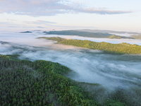 An aerial photo is showing the scenery of Wuying National Forest Park in Yichun, China, on June 18, 2024. (