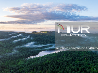 An aerial photo is showing the scenery of Wuying National Forest Park in Yichun, China, on June 18, 2024. (