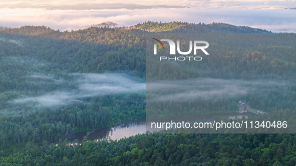 An aerial photo is showing the scenery of Wuying National Forest Park in Yichun, China, on June 18, 2024. 