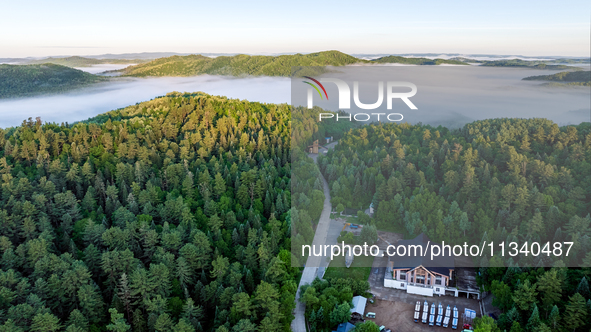 An aerial photo is showing the scenery of Wuying National Forest Park in Yichun, China, on June 18, 2024. 