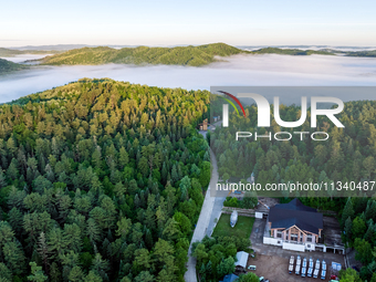 An aerial photo is showing the scenery of Wuying National Forest Park in Yichun, China, on June 18, 2024. (