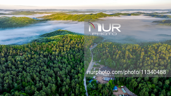 An aerial photo is showing the scenery of Wuying National Forest Park in Yichun, China, on June 18, 2024. 