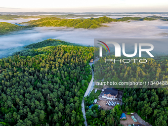 An aerial photo is showing the scenery of Wuying National Forest Park in Yichun, China, on June 18, 2024. (