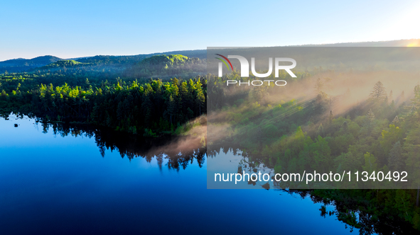 An aerial photo is showing the scenery of Wuying National Forest Park in Yichun, China, on June 18, 2024. 