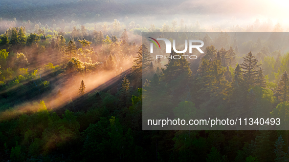 An aerial photo is showing the scenery of Wuying National Forest Park in Yichun, China, on June 18, 2024. 