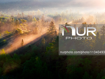 An aerial photo is showing the scenery of Wuying National Forest Park in Yichun, China, on June 18, 2024. (