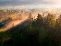 An aerial photo is showing the scenery of Wuying National Forest Park in Yichun, China, on June 18, 2024. (