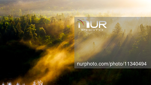 An aerial photo is showing the scenery of Wuying National Forest Park in Yichun, China, on June 18, 2024. 