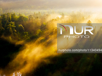 An aerial photo is showing the scenery of Wuying National Forest Park in Yichun, China, on June 18, 2024. (