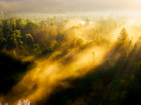 An aerial photo is showing the scenery of Wuying National Forest Park in Yichun, China, on June 18, 2024. (