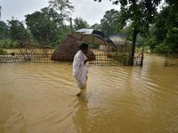 A woman is walking through a flooded road following rains in Changchaki village in Nagaon District of Assam, India, on June 18, 2024. (