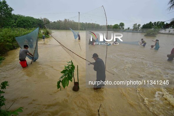 People are fishing on flood water following rains in Changchaki village in Nagaon District of Assam, India, on June 18, 2024. 