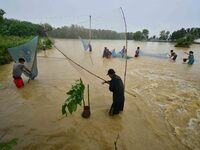 People are fishing on flood water following rains in Changchaki village in Nagaon District of Assam, India, on June 18, 2024. (