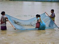 People are fishing on flood water following rains in Changchaki village in Nagaon District of Assam, India, on June 18, 2024. (