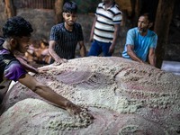 Workers are carrying rawhide from sacrificial cattle to a local factory for preservation by sprinkling salt, a day after Eid-ul-Adha, known...