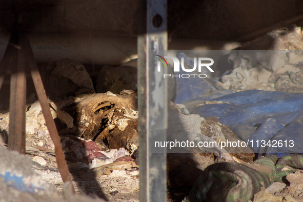 Two skeletal remains are being found beneath the Santa Fe International Bridge in Ciudad Juarez, Chihuahua. The bodies, in an extreme state...