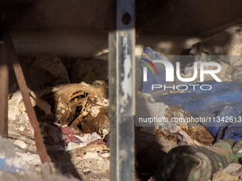 Two skeletal remains are being found beneath the Santa Fe International Bridge in Ciudad Juarez, Chihuahua. The bodies, in an extreme state...