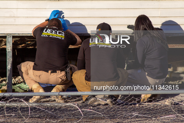 Two skeletal remains are being found beneath the Santa Fe International Bridge in Ciudad Juarez, Chihuahua. The bodies, in an extreme state...