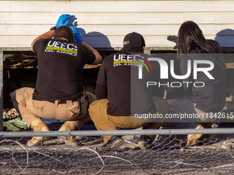 Two skeletal remains are being found beneath the Santa Fe International Bridge in Ciudad Juarez, Chihuahua. The bodies, in an extreme state...