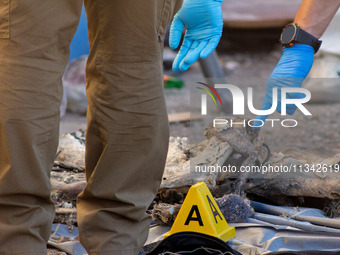 Two skeletal remains are being found beneath the Santa Fe International Bridge in Ciudad Juarez, Chihuahua. The bodies, in an extreme state...