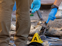 Two skeletal remains are being found beneath the Santa Fe International Bridge in Ciudad Juarez, Chihuahua. The bodies, in an extreme state...