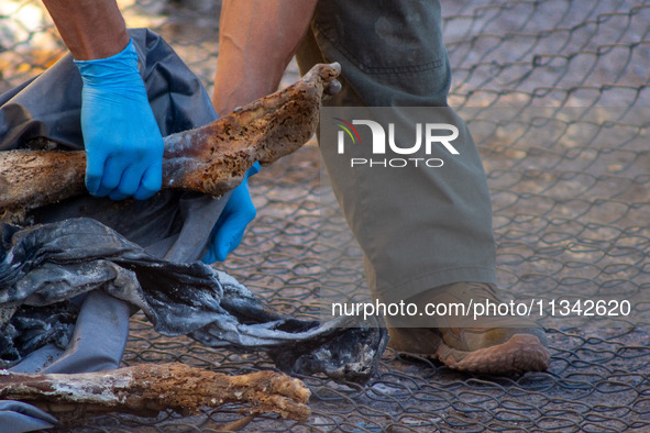 Two skeletal remains are being found beneath the Santa Fe International Bridge in Ciudad Juarez, Chihuahua. The bodies, in an extreme state...