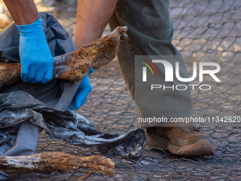 Two skeletal remains are being found beneath the Santa Fe International Bridge in Ciudad Juarez, Chihuahua. The bodies, in an extreme state...