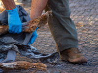 Two skeletal remains are being found beneath the Santa Fe International Bridge in Ciudad Juarez, Chihuahua. The bodies, in an extreme state...