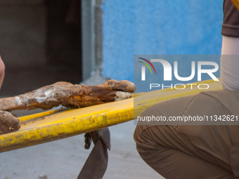 Two skeletal remains are being found beneath the Santa Fe International Bridge in Ciudad Juarez, Chihuahua. The bodies, in an extreme state...