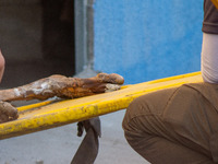 Two skeletal remains are being found beneath the Santa Fe International Bridge in Ciudad Juarez, Chihuahua. The bodies, in an extreme state...