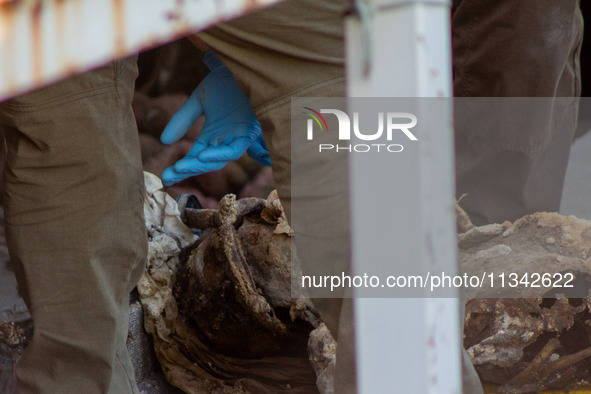 Two skeletal remains are being found beneath the Santa Fe International Bridge in Ciudad Juarez, Chihuahua. The bodies, in an extreme state...