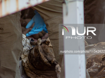 Two skeletal remains are being found beneath the Santa Fe International Bridge in Ciudad Juarez, Chihuahua. The bodies, in an extreme state...